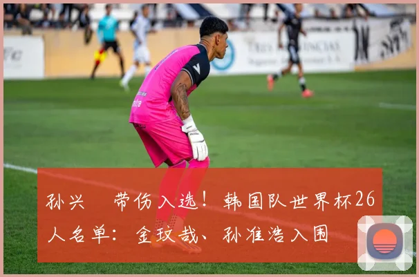 孙兴慜带伤入选！韩国队世界杯26人名单：金玟哉、孙准浩入围