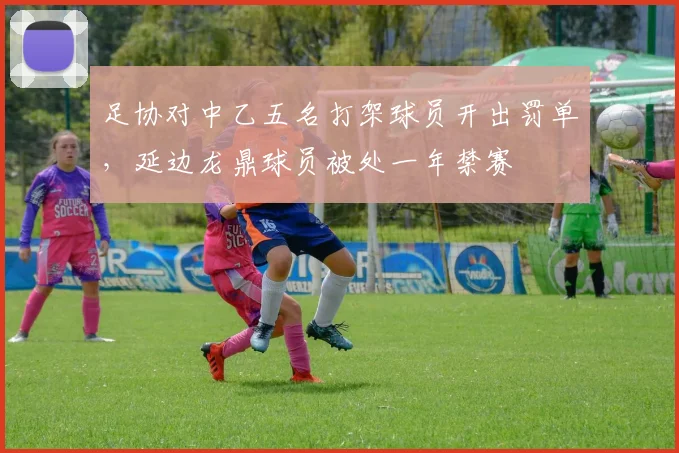足协对中乙五名打架球员开出罚单，延边龙鼎球员被处一年禁赛